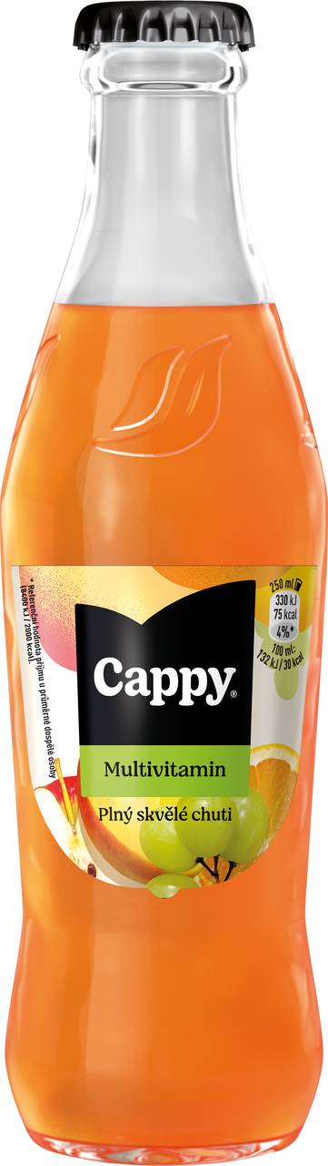 Cappy Multivitamín 52% 24x0,25L sklo